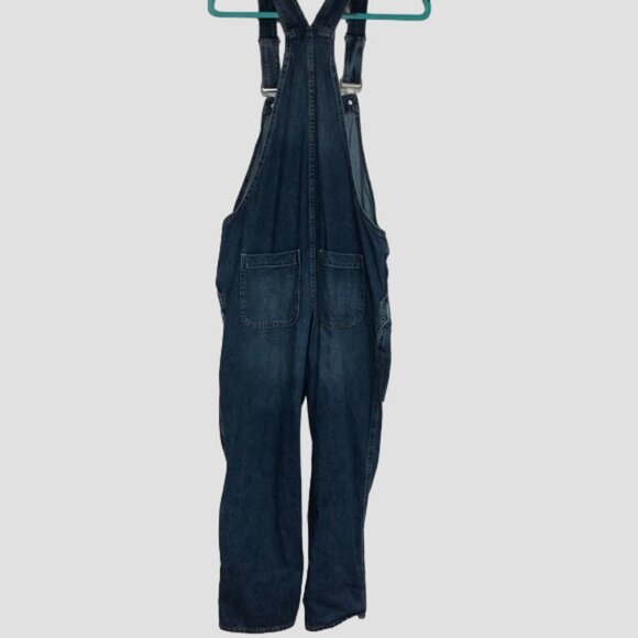 Gap Distressed Medium Wash Denim Overalls - Picture 4 of 16